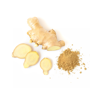 Gengibre (Zingiber officinale)